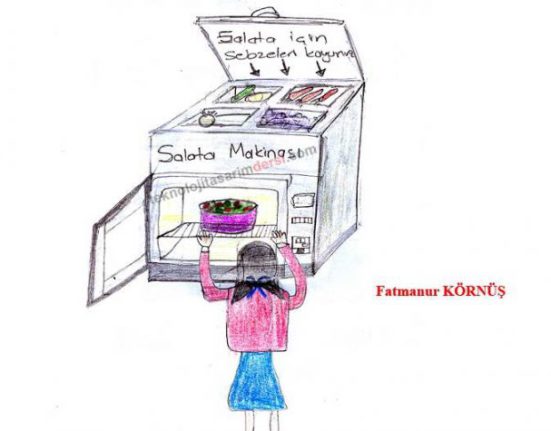 Teknoloji Tasarım Projesi 7 salata makinası