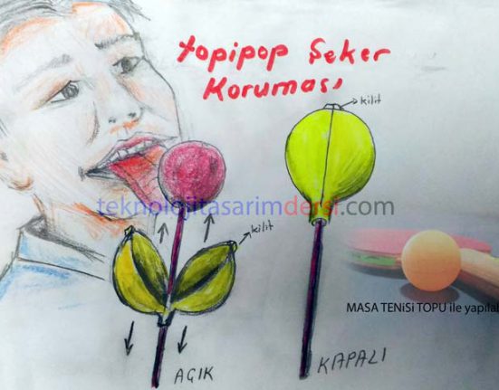 Teknoloji Tasarım Projesi 49 Topitop Şeker Koruması